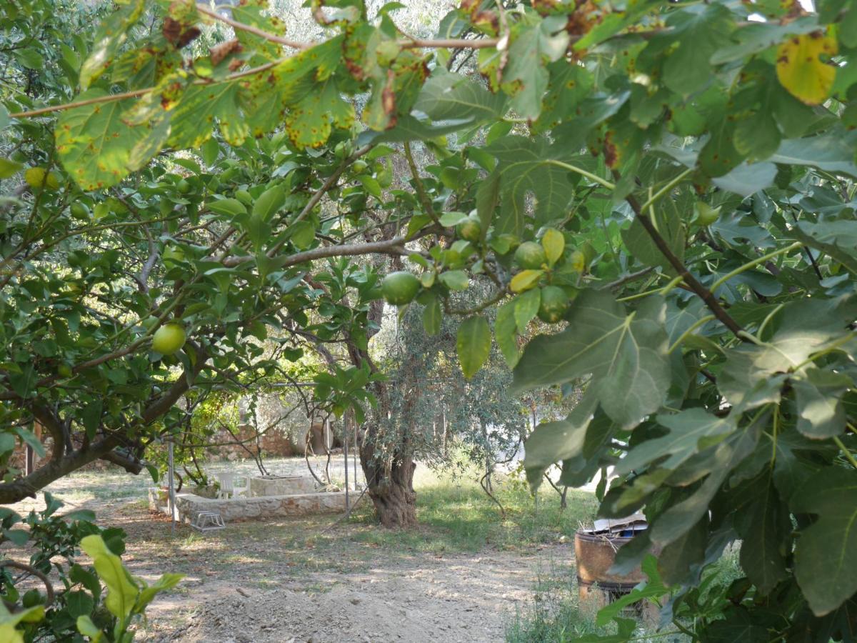 O Pyrgos Accommodations Panormos  Esterno foto
